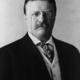 President theodore roosevelt  1904