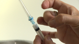 Timeline: A timeline mapping the H1N1 virus