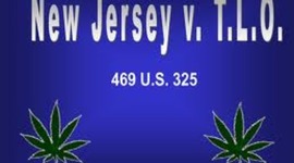 Timeline: New Jersey VS. T.L.O (1985)