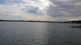 Timeline: Timline- October 8th