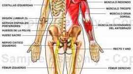 Timeline: If Thomas Edison hadn´t invented the light bulb, what would have happened?