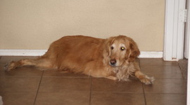 Timeline: 15 Major Events