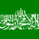 220px flag of hamas.svg