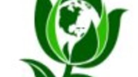 Timeline: The Green Party