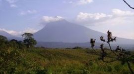 Timeline: The Rainforest Civilizations