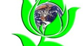 Timeline: Green Party