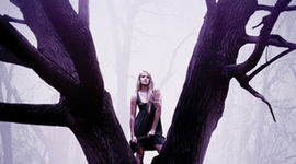 Timeline: Born at Midnight-C.C. Hunter- 406