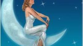 Timeline: La vida exagerada de Meg