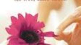 Timeline: The Truth About Forever, Sarah Dessen, Fiction, 374 Pages