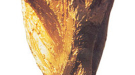 Timeline: soccer world cups