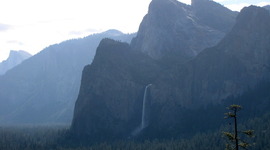 Timeline: Career Timeline