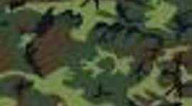 Timeline: Hunting and Fishing.