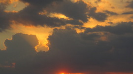 Timeline: William Heinz Timeline