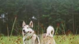 Timeline: The Life of Jacob Manthey