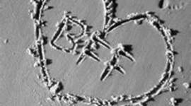 Timeline: Best Friend