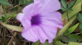 Timeline: Sabrina's timeline