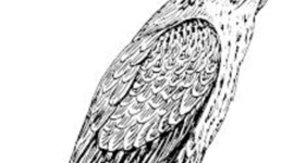 Timeline: AP Timeline Kron-Hall