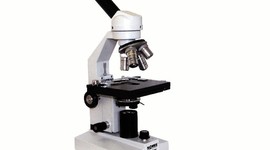 Timeline: The Microscope