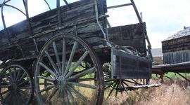 Timeline: How  Thay  Comuntatid How We Comunitat  By Julia