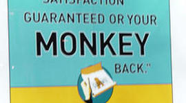 Timeline: Integrative Project