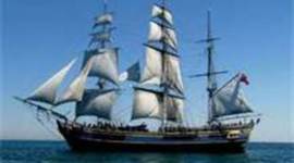 Timeline: Joy Maples Timeline from Ireland