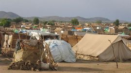 Timeline: Campo De Refugiado Líbano Ain al-Hilweh : / 12 , 15 , 26 Turma 7.1