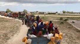 Timeline: Projeto Êxodos: Julia Saad20, Dominique11 e Andrea03-73