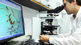 Timeline: My First Timeline