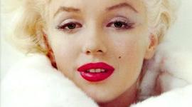Timeline: la curiosa vida de Marilyn Monroy