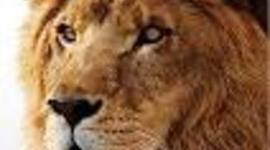 Timeline: tag   Robert FRost