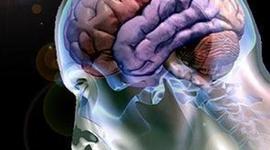 Timeline: DESARROLLO HISTORICO DE LA NEUROPSICOLOGIA