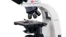 Timeline: History of the Microscope and Cell Theory