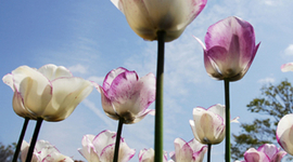 Timeline: Autobiography