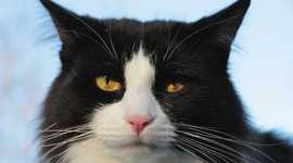 Timeline: Autobiography