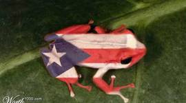 Timeline: Puerto Rico Language Policy Timeline