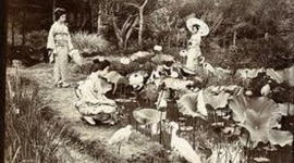 Timeline: Immigration Timeline