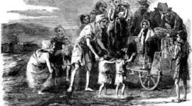 Timeline: Ivy McCormick and her Journey from Ireland to America and to the West