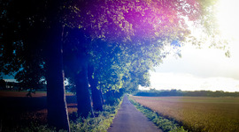 Timeline: The Road of Freedom