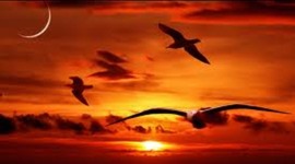 Timeline: proyecto de vida