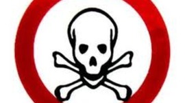 Timeline:  ARMENIAN GENOCIDE: DEATH TOLL