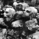 Armenian genocide 27 447x263