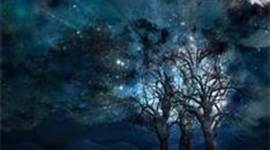 Timeline: Adolf Klein Time Line