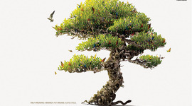 Timeline: Борьба с информационным стрессом