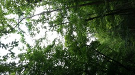 Timeline: Autobiography