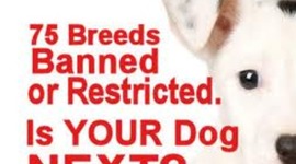 Timeline: Breed bans