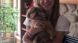 Timeline: La vida de Sol Endres