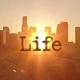Life