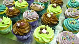 Timeline: Camryn's Life! :)