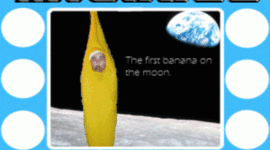 Timeline: The Life of Michael