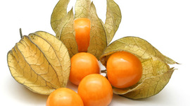 Timeline: UCHUVA DE LOS ANDES